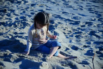 DSC_1192 (Large).JPG